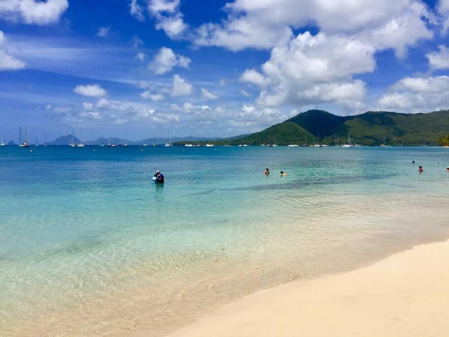 Hamo Tropical Piscine Proche Plage Apartment Sainte-Anne Ngoại thất bức ảnh